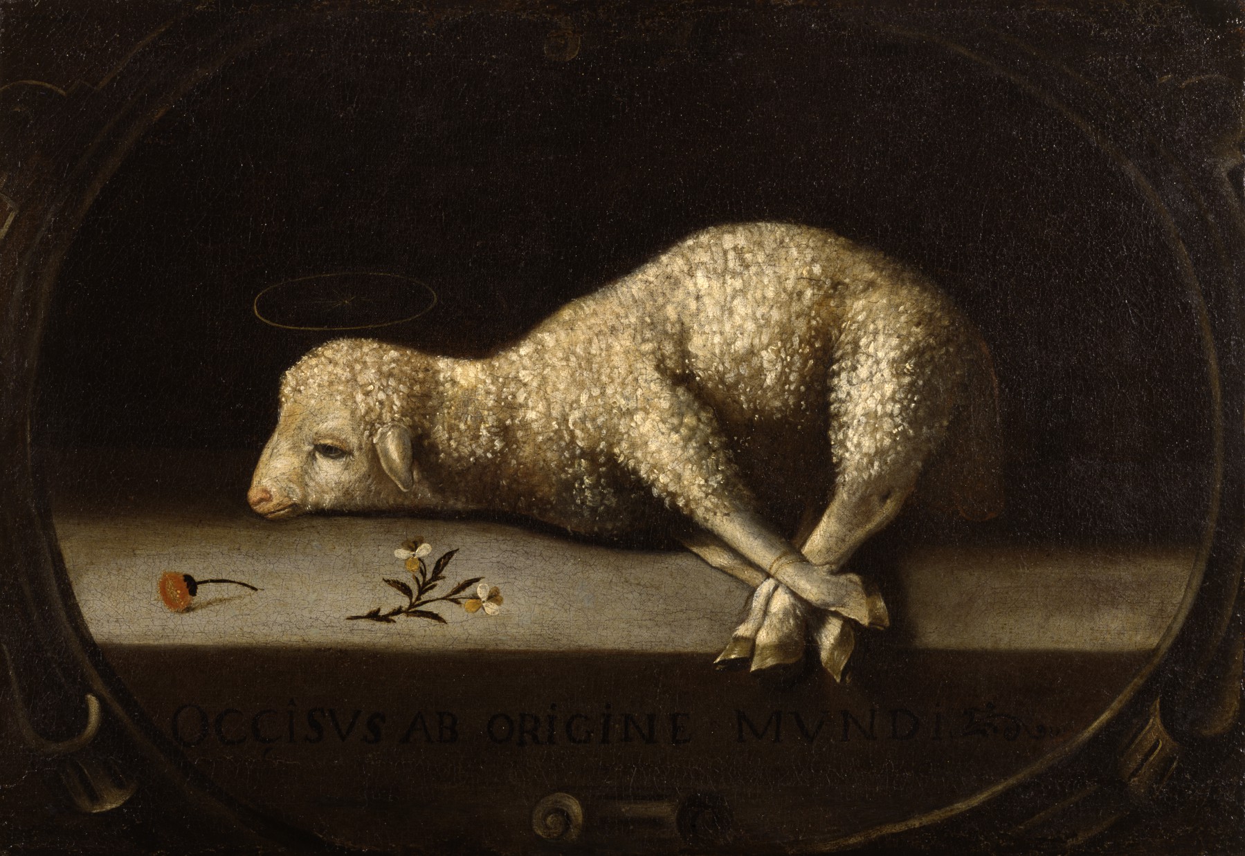 Read more about the article Suffering 1