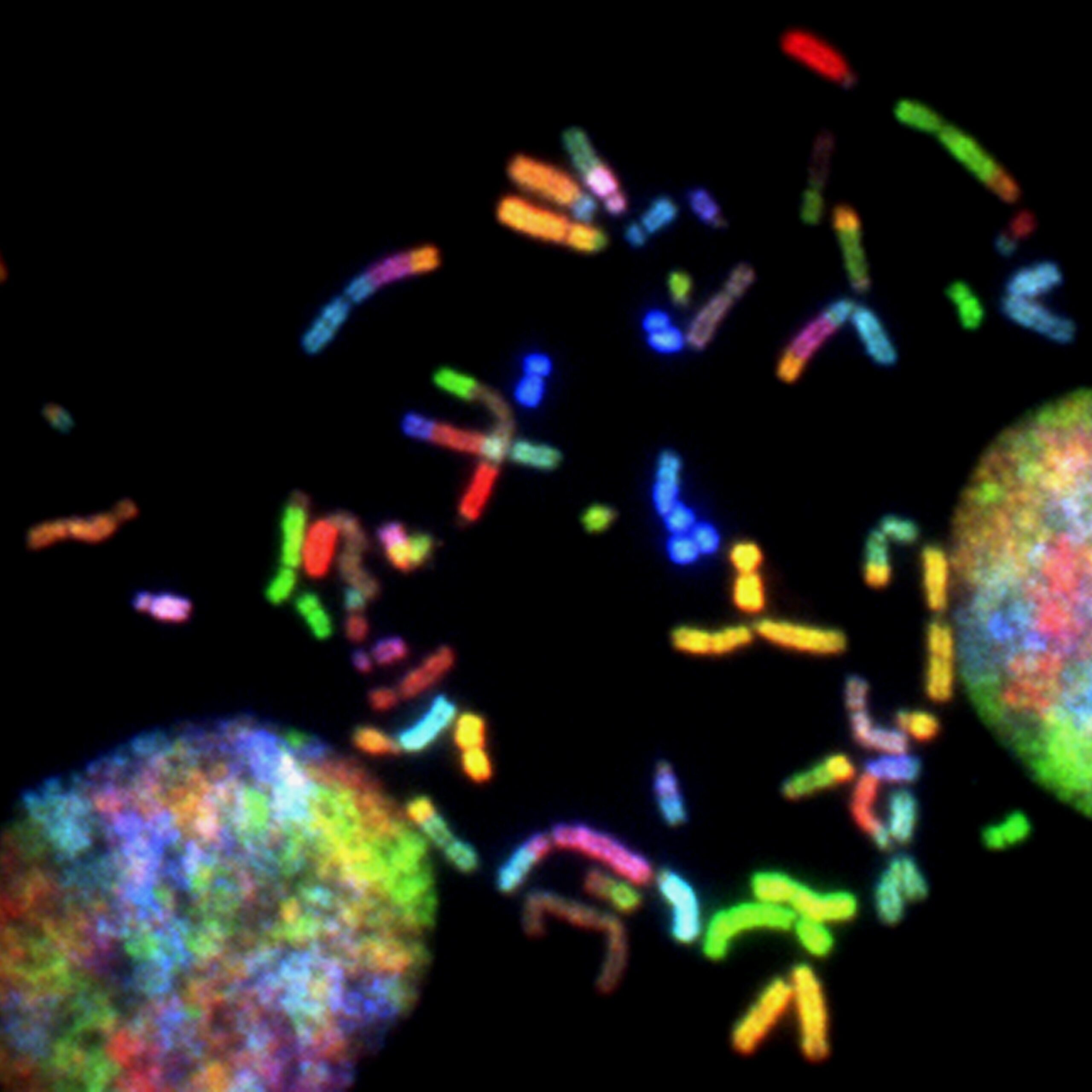 Read more about the article Genetics 2